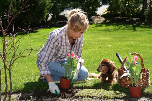 Supervisor conducting a site-specific risk assessment in a residential garden